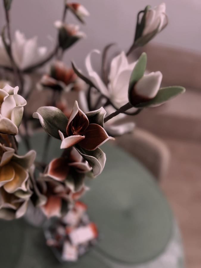 شقة Loft Przy Placu Niepodleglosci يلينيا غورا المظهر الخارجي الصورة