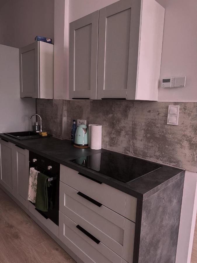 شقة Loft Przy Placu Niepodleglosci يلينيا غورا المظهر الخارجي الصورة
