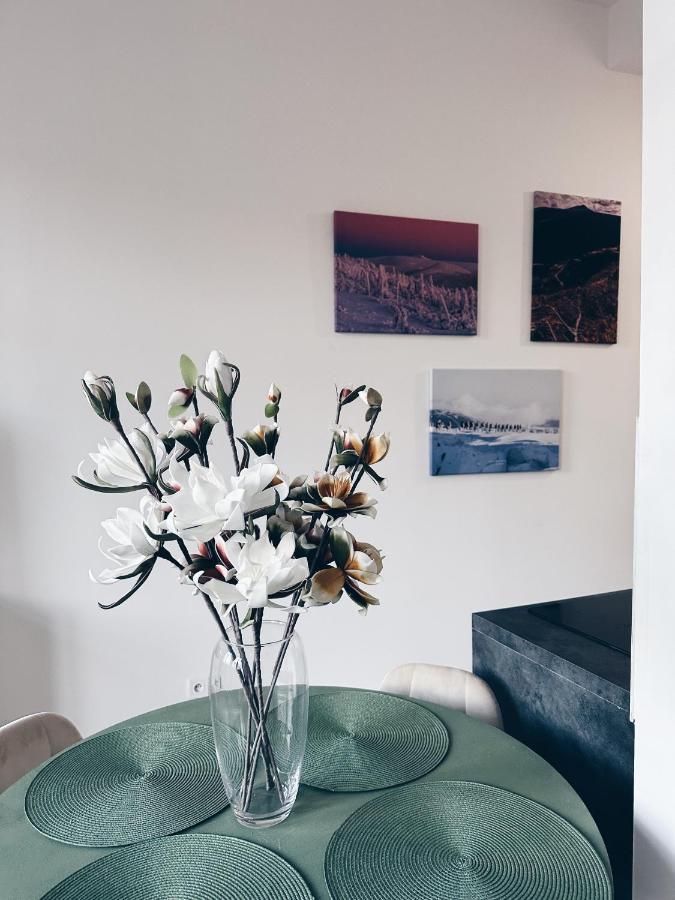 شقة Loft Przy Placu Niepodleglosci يلينيا غورا المظهر الخارجي الصورة